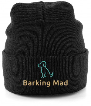Cuffed Beanie